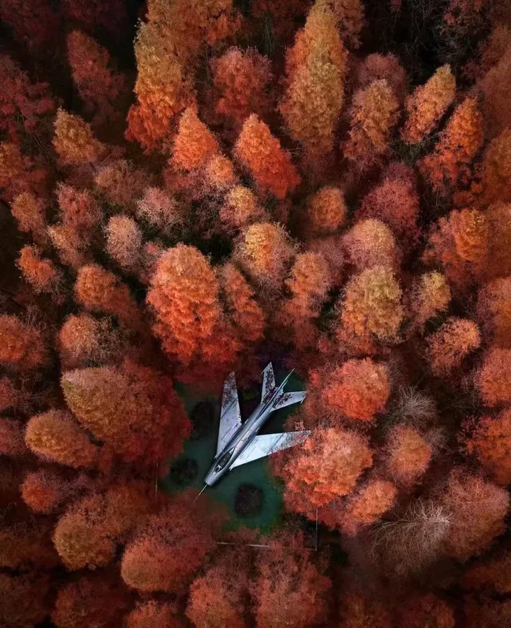 Jasmine Yang Profile Image