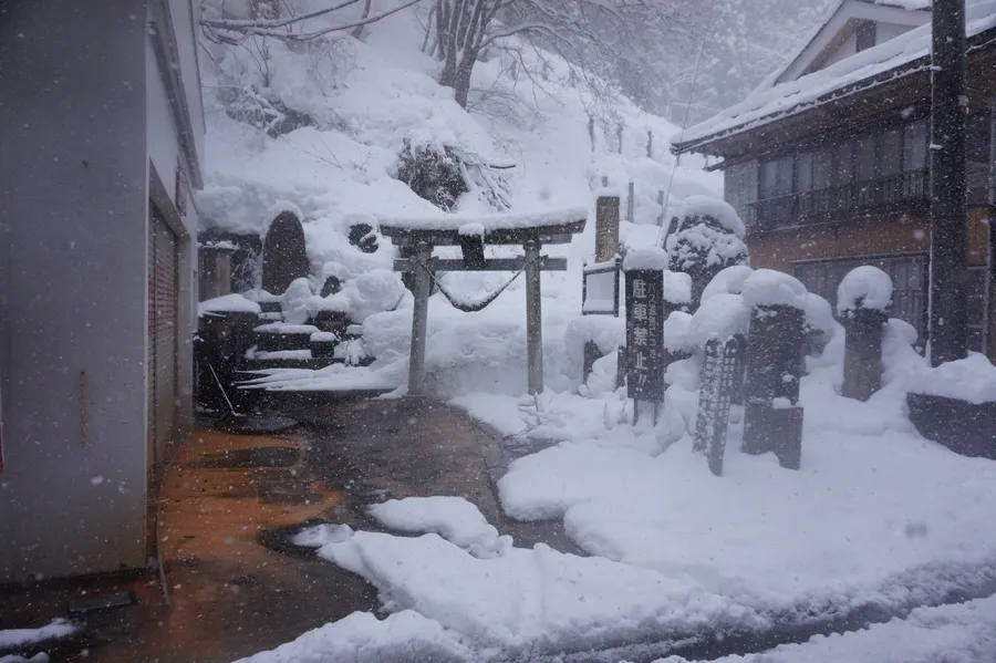 Trev Hughes Profile Image